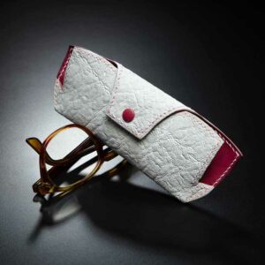 étui à lunettes en éléphant blanc 1